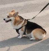 冬天1