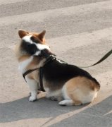 冬天2