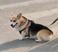 冬天3