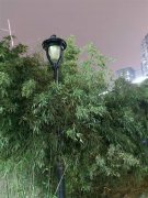 西安夜晚的街景一