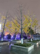 西安夜晚的街景二