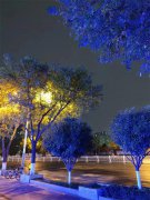 西安夜晚的街景四